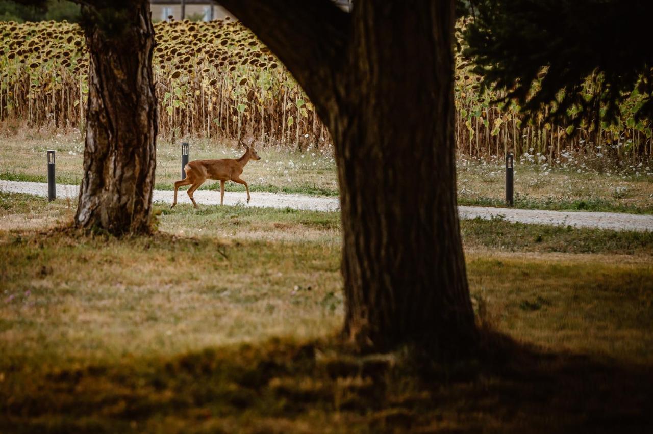 فندق Domaine De Boulouch ليكتور المظهر الخارجي الصورة