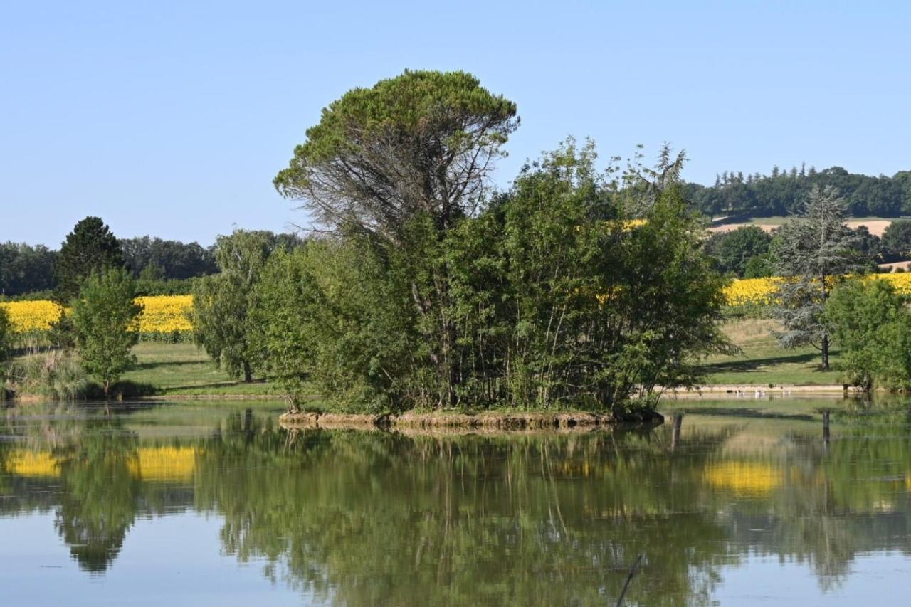 فندق Domaine De Boulouch ليكتور المظهر الخارجي الصورة